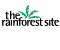 The Rainforest Site