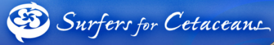 Surfers for Cetaceans