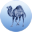 PERL