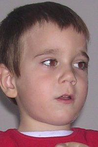 Sun Cancer Moon Gemini Asc Leo