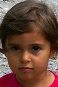 Sun Cancer Moon Leo Asc Leo