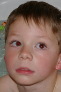 Sun Leo Moon Capricorn Asc Virgo