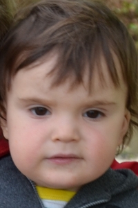 Sun Scorpio Moon Taurus Asc Aquarius